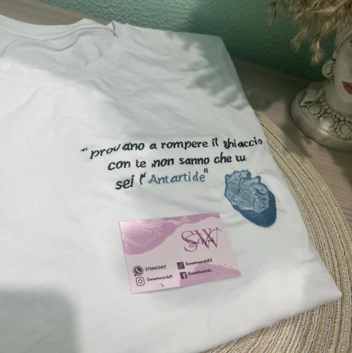 pinguini antartide .